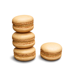Macaron Blueberry