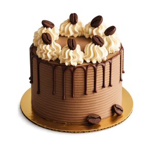 Chocolate Coffee Cake