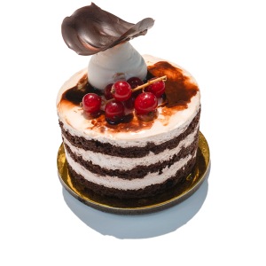 Mono Milk Cake Vanilla